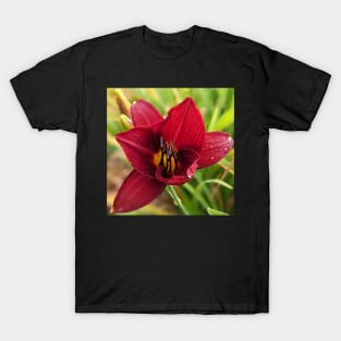 Red Lily 3 T-Shirt